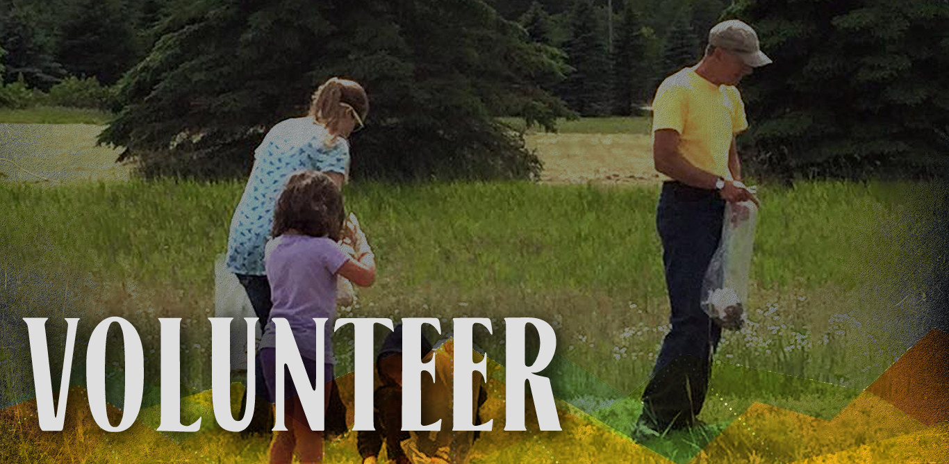 Volunteer Opportunities